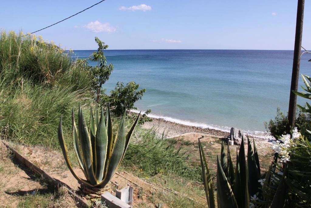 Studios Kaintas Agia Paraskevi  Exterior foto